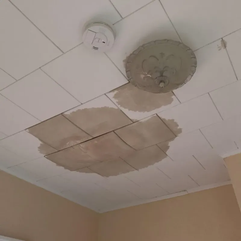 Ceiling Water Damage Repair in Hebron, NE